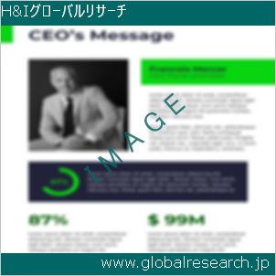 グローバルリサーチ調査レポートのイメージ